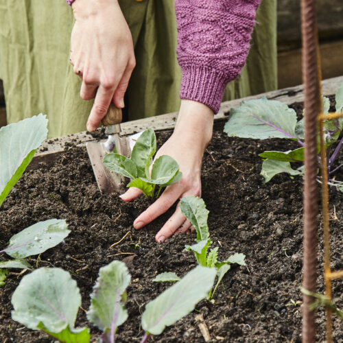 With a bit of prep work you'll have a bountiful garden this summer.